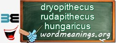WordMeaning blackboard for dryopithecus rudapithecus hungaricus